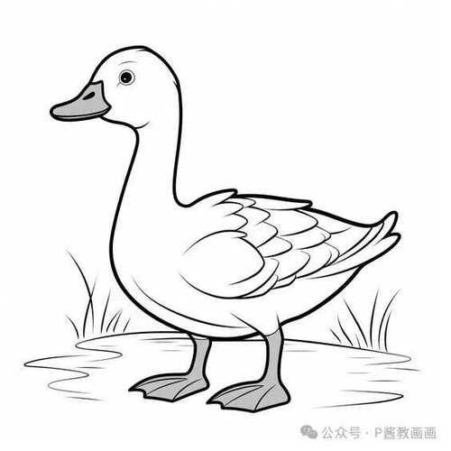 可爱的小鸭子手绘稿临摹学画