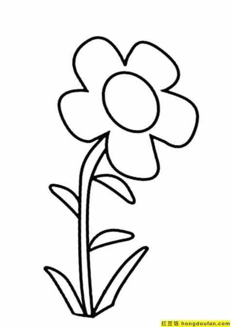 12张郁金香向日葵小雏菊可爱花朵儿童填strong简笔画strong