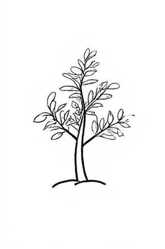 春天的小树芽简笔画