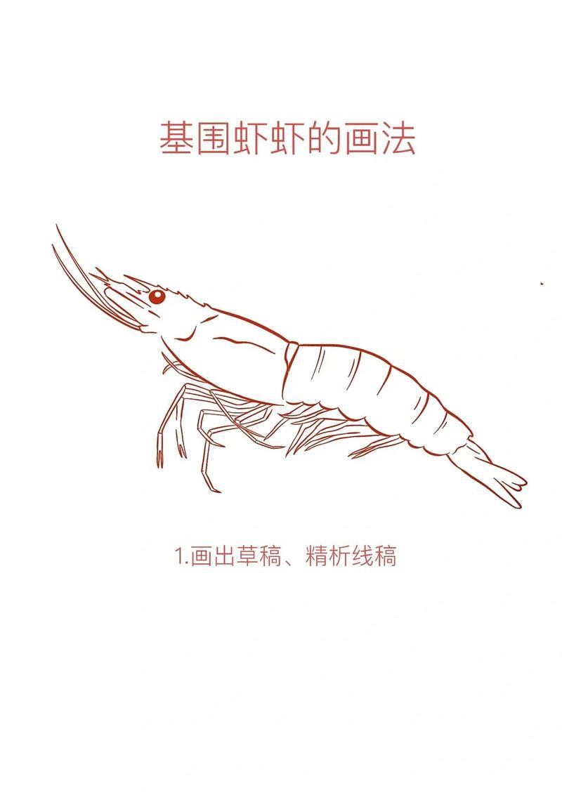 虾的画法procreate绘画绘画过程分享想画就画抖音